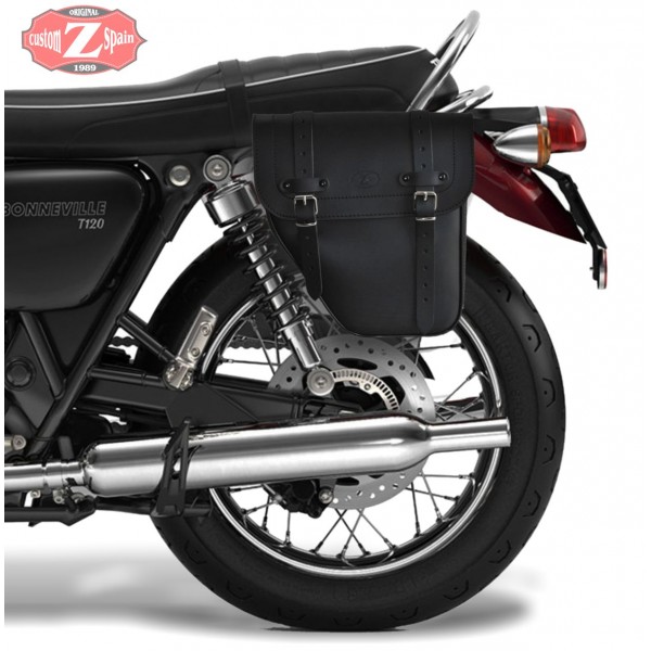 triumph t100 saddlebags