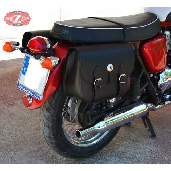 triumph t100 saddlebags