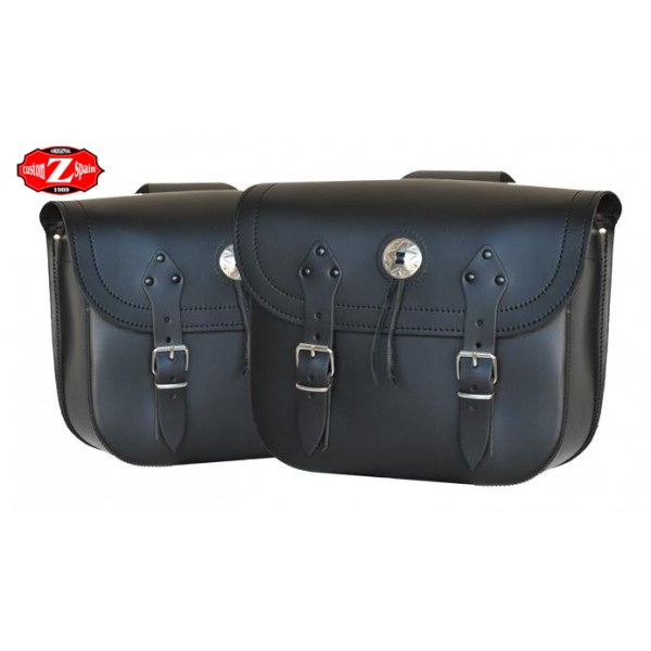 t120 saddlebags