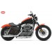Saddlebag for swingarm for Sportster Harley Davidson mod, LEGION Basic - Old Rat - UNIVERSAL - RIGHT