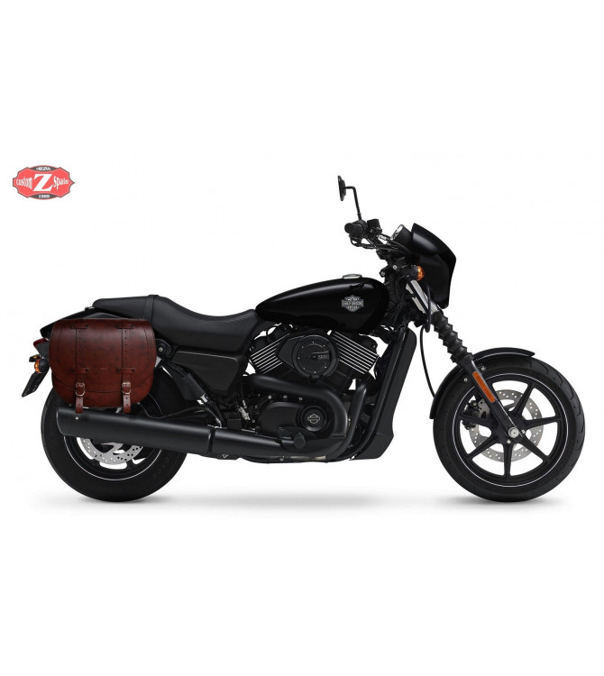 Harley davidson street 500 saddlebags online