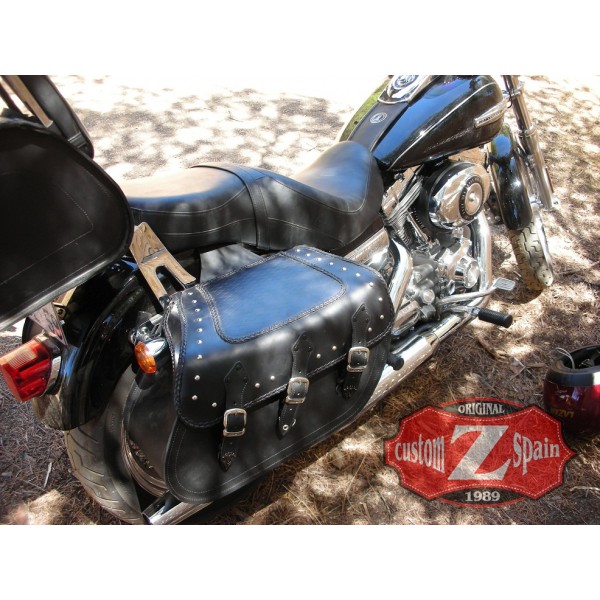 Hard saddlebags for on sale heritage softail classic