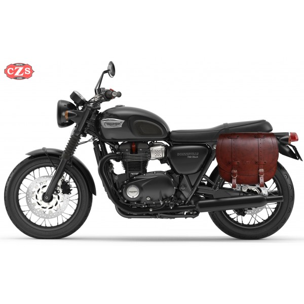 triumph t100 saddlebags