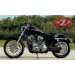 Alforja de basculante para Sporters Harley Davidson mod. LIVE to RIDE Derecha
