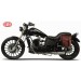 Sacoche pour Triumph Bonneville T100/T120 mod, CENTURION Adaptable - Brun - GAUCHE