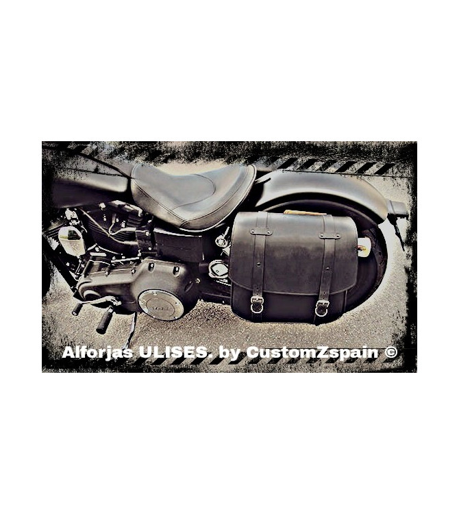 Alforjas para Dinas Harley Davidson mod, ULISES Basicas