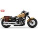 Alforja para Softail Slim Harley Davidson mod, CENTURION Marrón - Adaptable - DERECHA