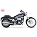 Alforja para Softail Slim Harley Davidson mod, ITAKA  - Adaptable