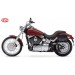 Alforja para Softail Slim Harley Davidson mod, ITAKA  - Adaptable