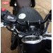 Tank Bib für Triumph Bonneville T120/T100  Mod. ORION Basic  -  Spezifisch