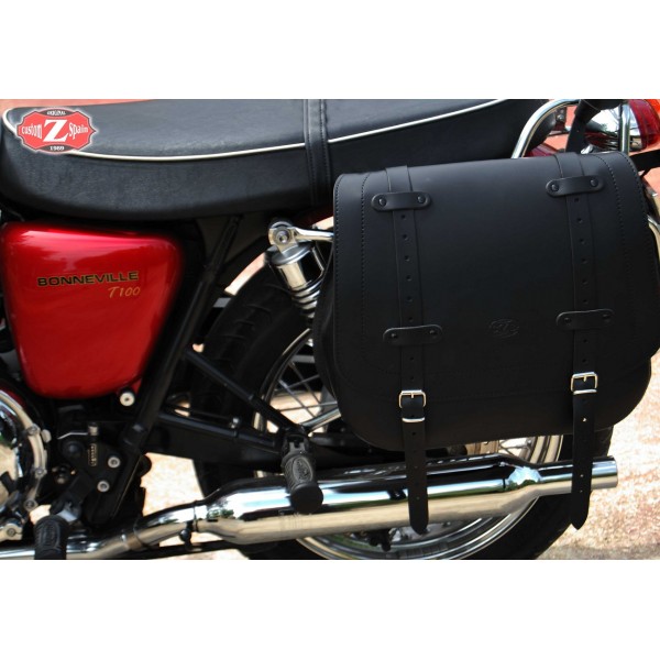 t120 saddlebags