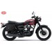 Borse in pelle per Kawasaki W800-W650 mod, MULACEN - Specifico con foro per maniglie