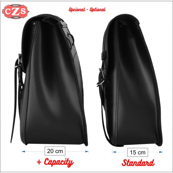 t120 saddlebags