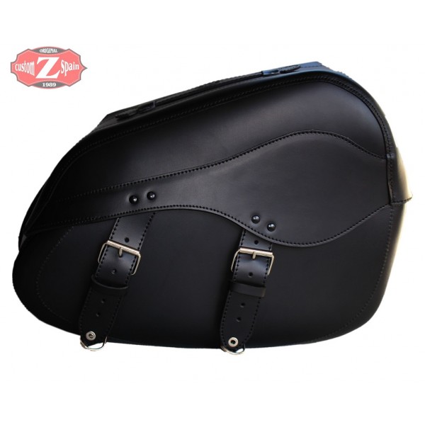 bmw r18 saddlebags