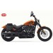 Bisaccia per Harley Davidson Softail Street Bob 114 (2021) mod, HERCULES di base