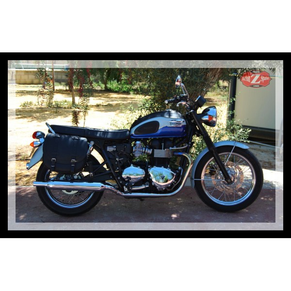 triumph t100 saddlebags