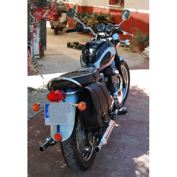 t120 saddlebags