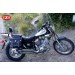 Bisacce per Yamaha Virago 535 (XV-DX) mod, RIFLE Classico