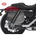 Satteltaschen für Sportster Harley Davidson mod, SPARTA - HD Schädel - Anpassungsfähig