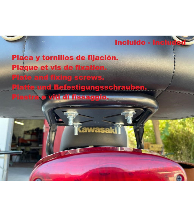 Custom Starr Trunk Suzuki Intruder mod, DOSCAS Basis Celtic - Schädel -