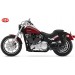 Sacoche pour Softail Harley Davidson - Gauche GUN