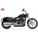 Borse laterali rigide VENDETTA Basic per Softail Standard Harley Davidson