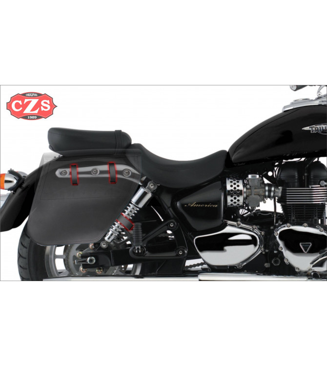 Fissazione - BRETONIA Diritto di base su Triumph Speedmaster.