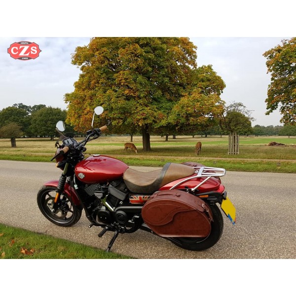 Street on sale 500 saddlebags