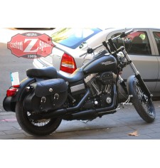 Borse laterali rigide per Dyna Street Bob Harley Davidson mod, TEMPLARIO di base Intrecciato - Teschio - 