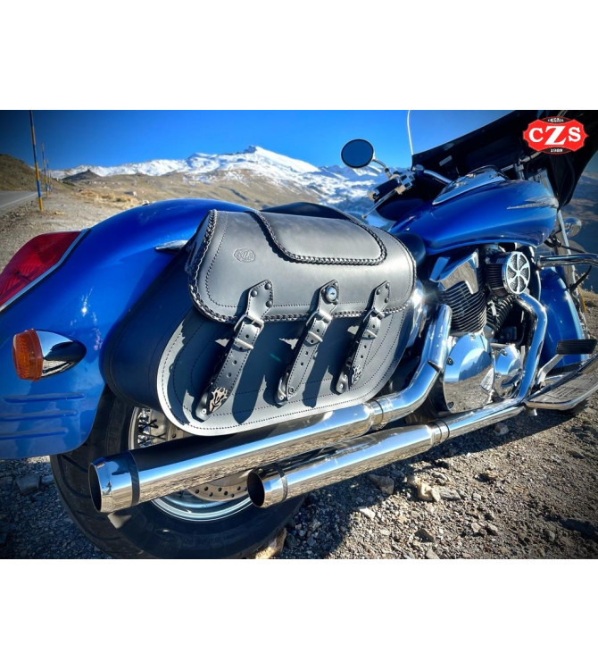 Hard bags for honda vtx 1300 hot sale