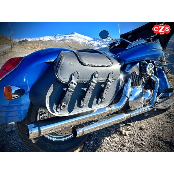 Honda best sale vtx saddlebags