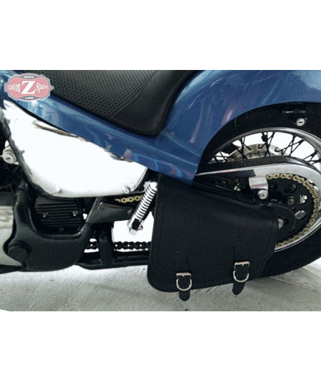 saddlebag Shadow 600 mod, GADIZ Basic specifies