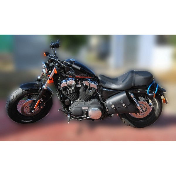 Swing arm saddle bag on sale sportster