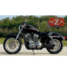 Alforja de basculante para Sportsters mod. LIVE to RIDE Izquierda cuero 