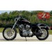 Alforja de basculante para Sportsters mod. LIVE to RIDE Izquierda cuero 