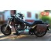 Alforja Lateral para Softail FAT-BOY Harley Davidson mod, BANDO Especifica