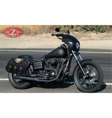 Alforjas Rigidas para DINAS Harley Davidson mod, SUPER STAR hueco amortiguador Personalizada