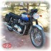 Right Saddlebgas for Classics Triumph  mod, BANDO  specific