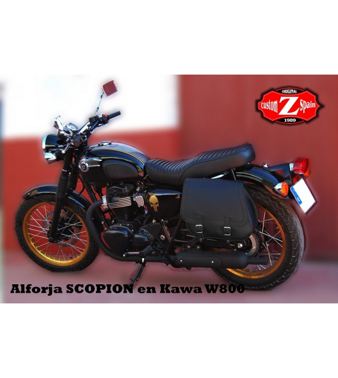 SCIPION BASICA IZQUIERDA