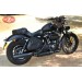Alforja de basculante para Sportsters Harley Davidson mod, LEGION color cuero