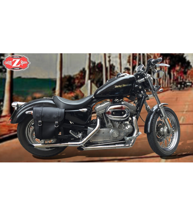 Sacoche Droite espace coussin. Sportster, spécifique. mod, SCIPION 