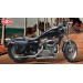 Right saddlebag space cushion. Sportster, Specific. mod, SCIPION  