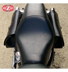 Alforjas para Sportster. Hueco amortiguador. mod, SCIPION. Craneo llamas. ESPECIFICAS