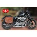 Right saddlebag - Sportster - hollow cushion - TRAJANO Basic - Color Brown - Specifies course.