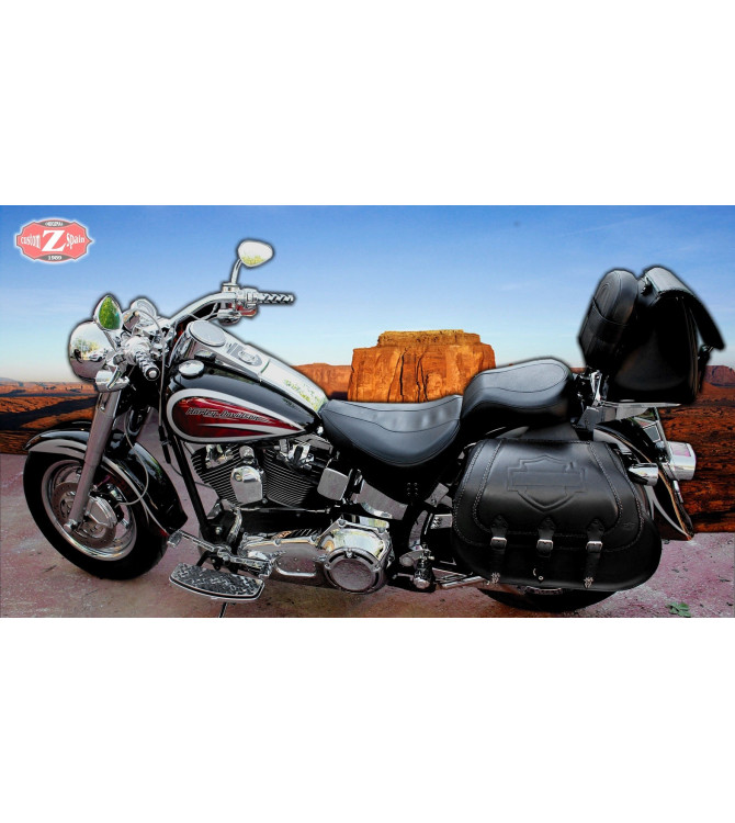 Saddlebags - Softail Deluxe - Harley Davidson - mod, personalized CAMPEADOR Celtic shield HD