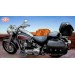 Alforjas - Softail Deluxe -  Harley Davidson - mod, CAMPEADOR Celtic con personalizada escudo HD