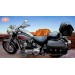 Saddlebags - Softail Deluxe - Harley Davidson - mod, personalized CAMPEADOR Celtic shield HD