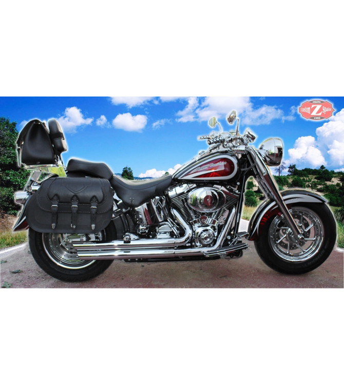 Saddlebags - Softail Deluxe - Harley Davidson - mod, personalized CAMPEADOR Celtic shield HD