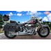 Alforjas - Softail Deluxe -  Harley Davidson - mod, CAMPEADOR Celtic con personalizada escudo HD