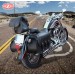 Sacoches - Softail Deluxe - Harley Davidson - mod, personnalisé CAMPEADOR Celtic bouclier HD